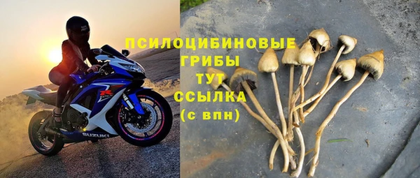 прущие крисы Алексеевка